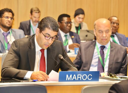 المغرب يؤكد ريادته في الملكية الفكرية خلال الدورة 66 بجنيف