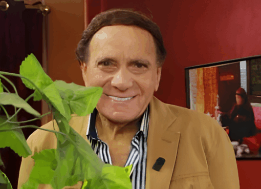 الفنان فكرى عبد الحميد