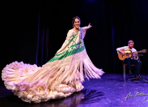 الفلامنكو الإسباني