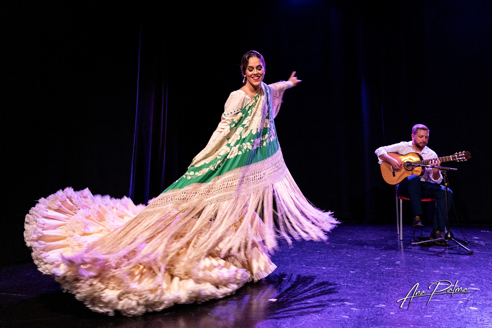 الفلامنكو الإسباني