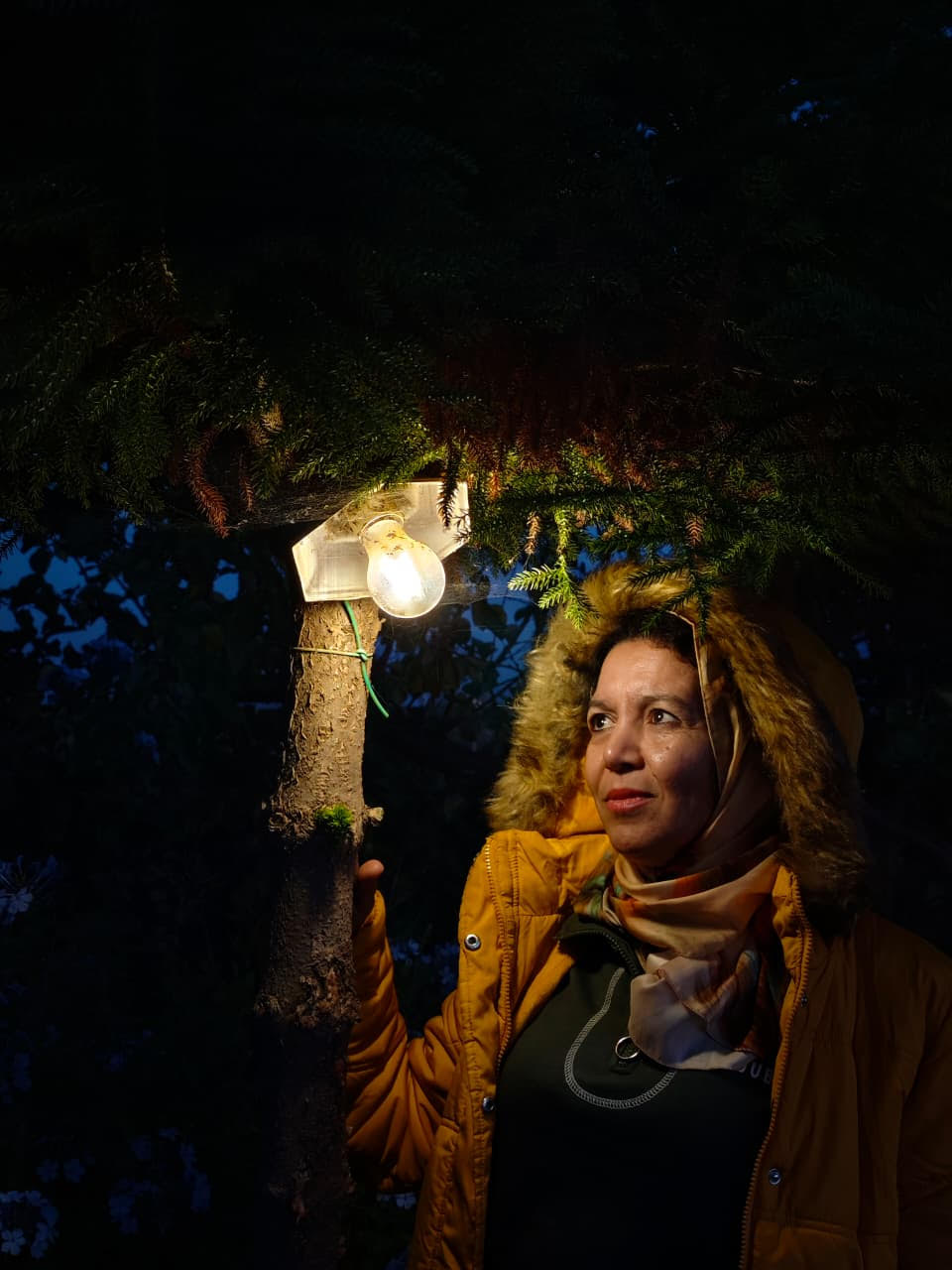 فريدة عدنان