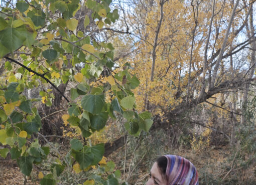 فريدة عدنان