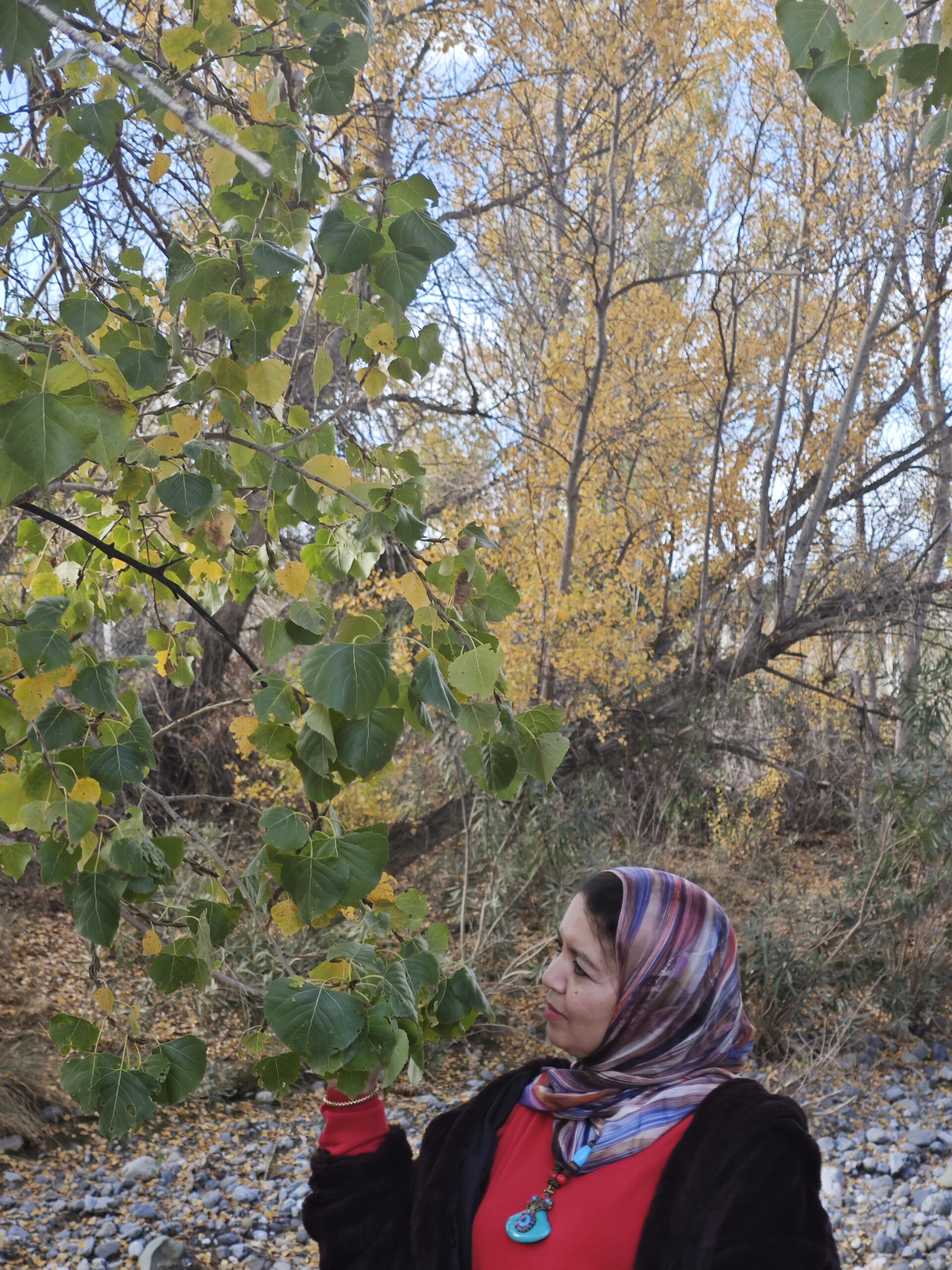 فريدة عدنان