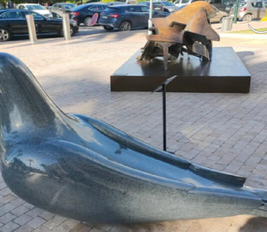 منحوتة بالوما بمتحف محمد السادس