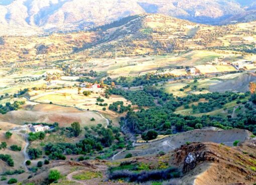 أرياف تاونات