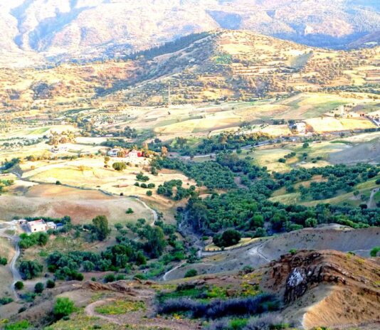 أرياف تاونات