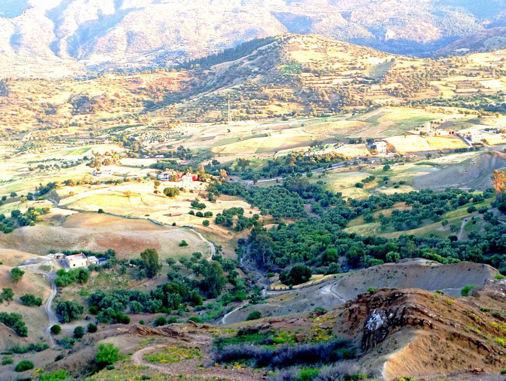 أرياف تاونات