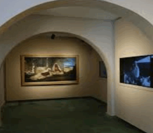 متحف دار النيابة