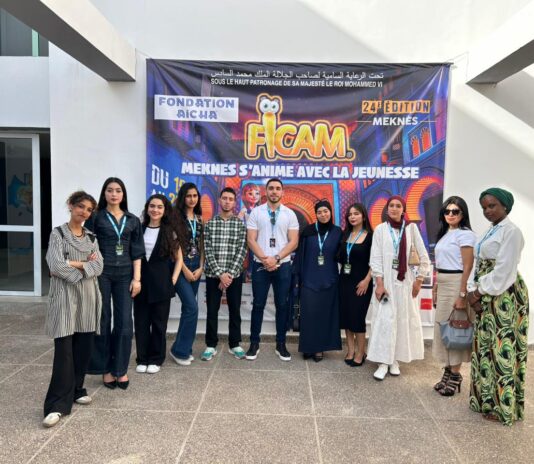 مكناس، مهرجان سينما التحريك