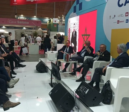 الدبلوماسية الثقافية
