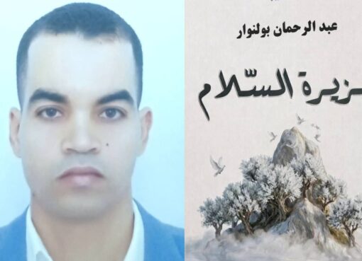 رواية "جزيرة السلام" لعبد الرحمان بولنوار.. رحلة أدبية في البحث عن السلام والإنسانية