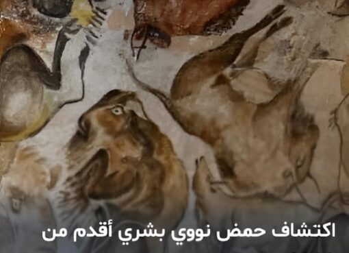 الحمض النووي البشري
