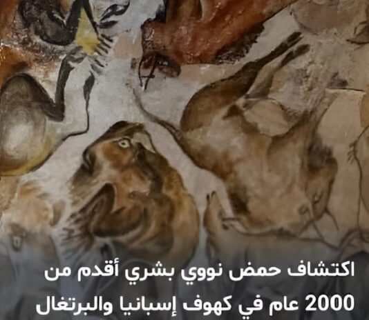 الحمض النووي البشري