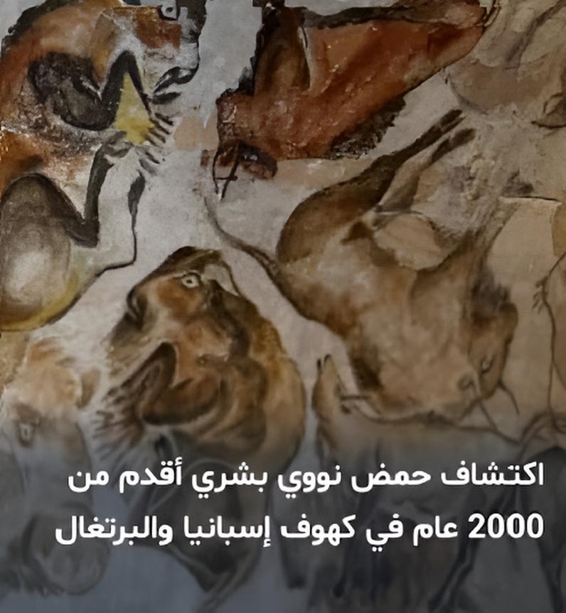 الحمض النووي البشري